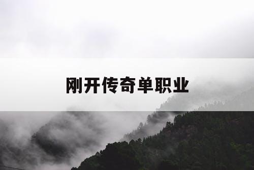 刚开传奇单职业
