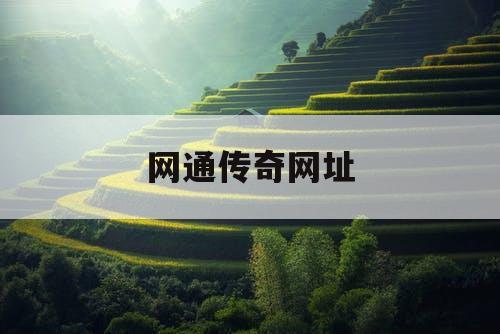 网通传奇网址