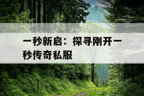 一秒新启：探寻刚开一秒传奇私服