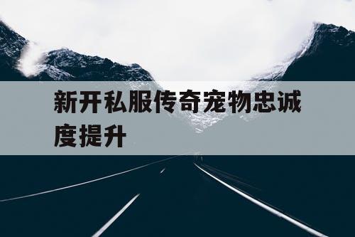新开私服传奇宠物忠诚度提升