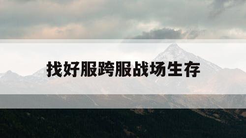 找好服跨服战场生存