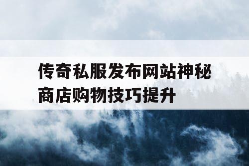传奇私服发布网站神秘商店购物技巧提升