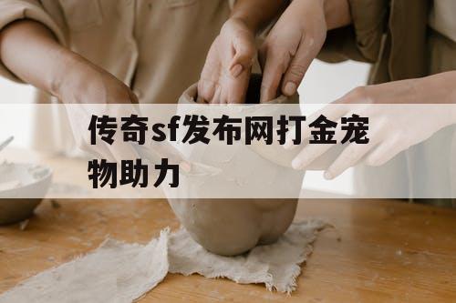 传奇sf发布网打金宠物助力