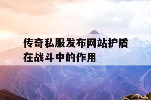 传奇私服发布网站护盾在战斗中的作用