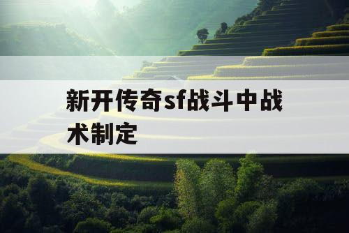 新开传奇sf战斗中战术制定