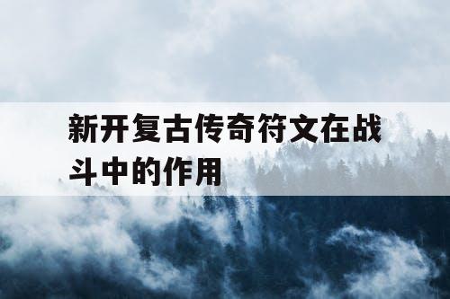 新开复古传奇符文在战斗中的作用