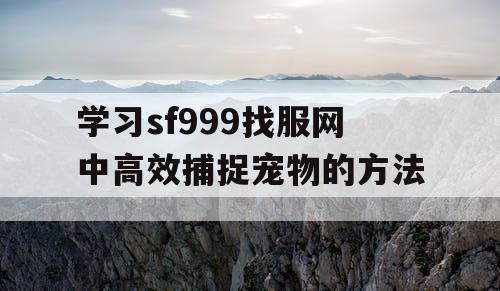 学习sf999找服网中高效捕捉宠物的方法