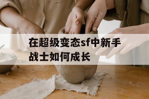在超级变态sf中新手战士如何成长