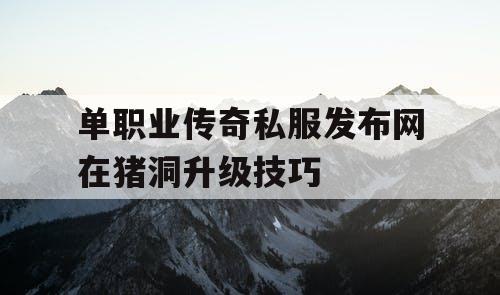 单职业传奇私服发布网在猪洞升级技巧